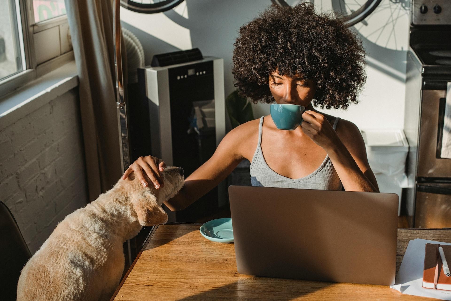 Woman drinking coffee while working on laptop from home, petting her dog